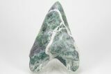 7.4" Realistic, Carved Green/Purple Fluorite Megalodon Tooth - Replica - Photo 2